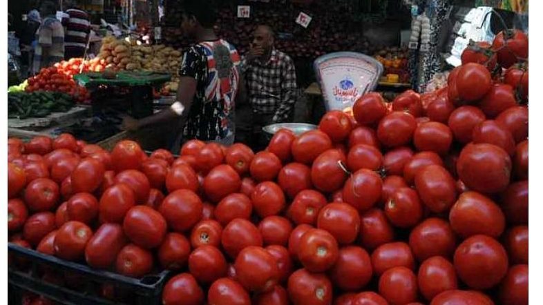 شعبة الخضروات: سعر الطماطم في منافذ التموين بـ21.5 جنيه للكيلو